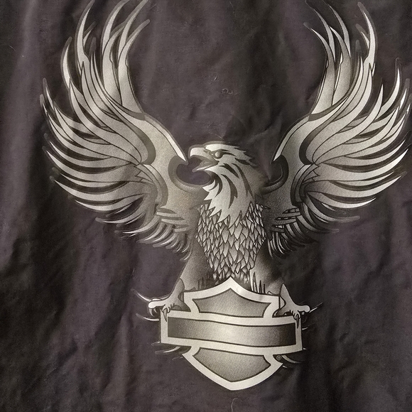 Harley-Davidson Black and Gray Jacket & Pants Set - Picture 6 of 15